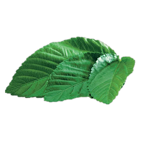 Nasayem product – Molokhia Frozen molokhia