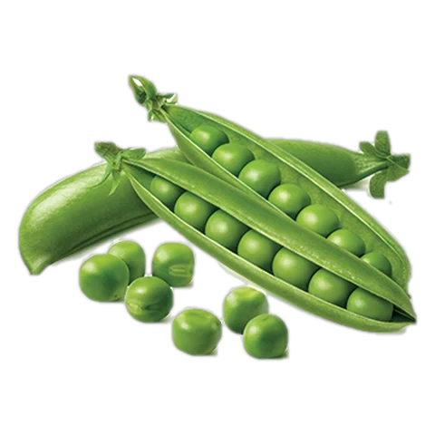 Nasayem product – Peas Frozen peas
