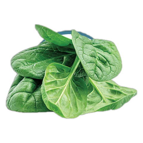Frozen spinach